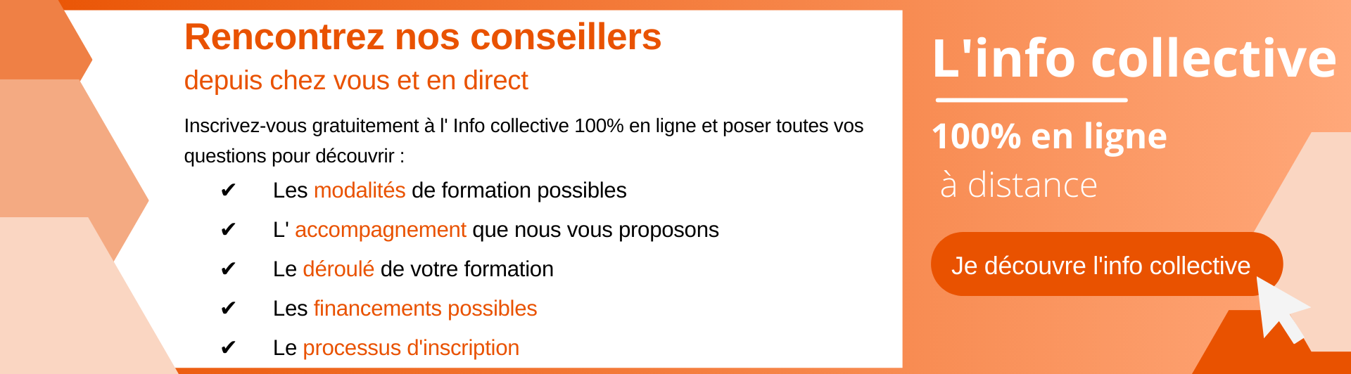 Formation Conseiller(ère) en insertion professionnelle - Proposition Webinar